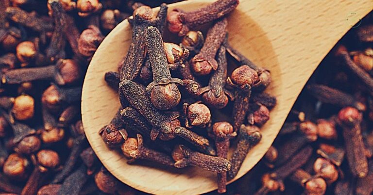 whole cloves and dried clove buds in a wooden spoon on a bed of cloves, highlighting natural spice remedies