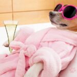 a small dog wearing pink sunglasses and a cozy robe, lounging with a champagne flute, embodying ultimate relaxation and calm.